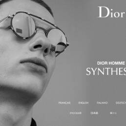 Homepage Dior