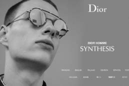 Homepage Dior